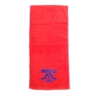 100% Cotton Custom Gym Sports Fitness Towel with Embroidery Logo