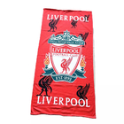 Hot Selling Dry Quickly Printed Microfiber Recycled  beach towel