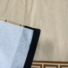 Promotional/Wholesale Portable Big 100% Cotton Custom Bag Luxury Digital Printed Custom Logo Beach Towel