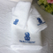 Embroidery high water absorption 80*160cm 100% cotton bath towel wholesale supplier